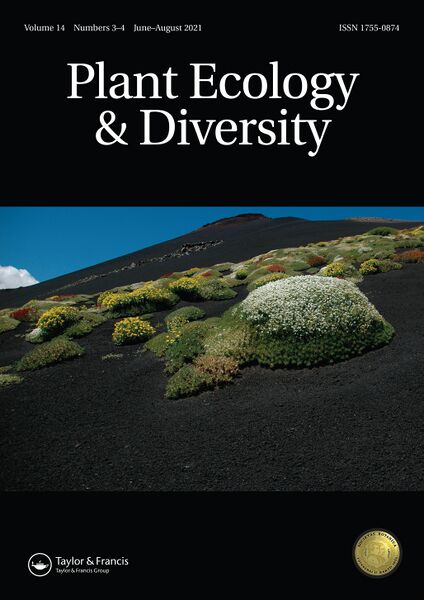 File:TPED I 14 3-4 COVER 2055.jpg