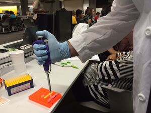 Micro-pipetting the PCR Mix