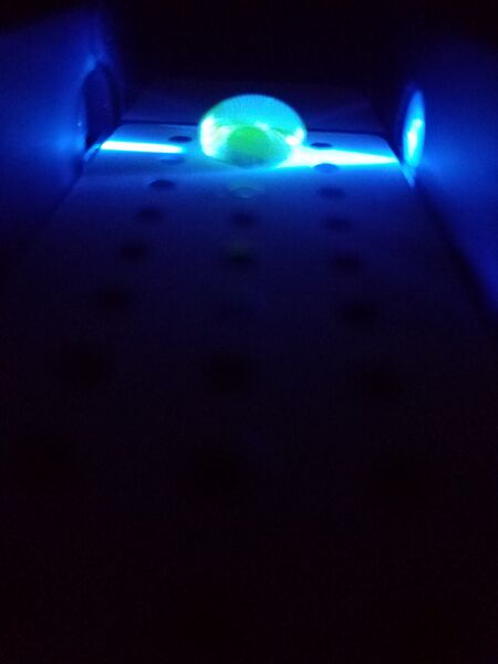 File:G3 Pos 3 EA.jpg