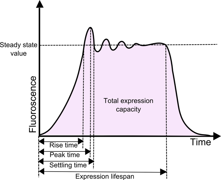 File:ICGEMS Graph with steady state.png
