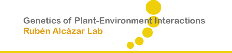 File:Alcazar lab.png