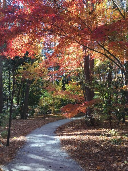 File:Durham Fall 2016.JPG