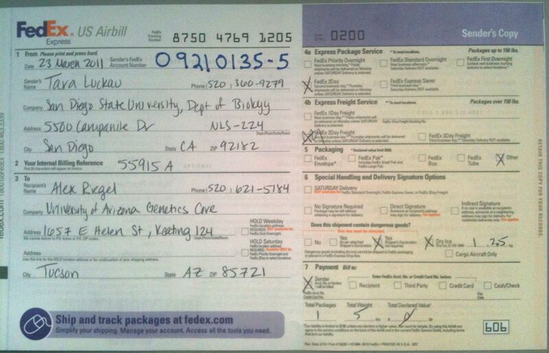 File:FedEx Domestic Airbill TKL.jpg