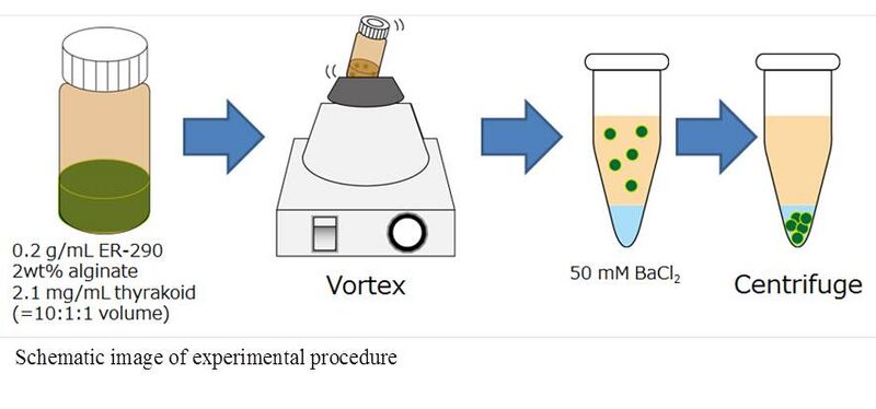 File:Making marimogel2.jpg