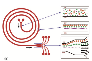 Figure 18. Square channels only separate particles that are on the inner half of the curved channel [9]