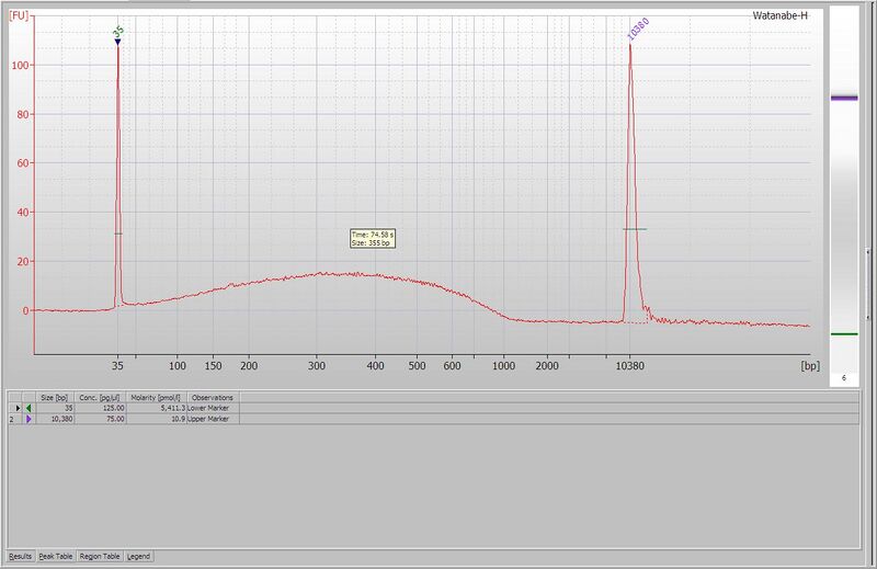 File:Ame mature-worker sonicated by Covaris.JPG