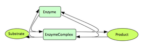 Simple Enzymatic Reaction