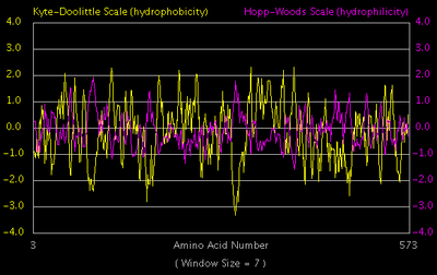 Example of a protein's hydrophobicity according to 2 different scales. Made with R. Bowen's [Image:Hydrophobicity plot example.png tool].