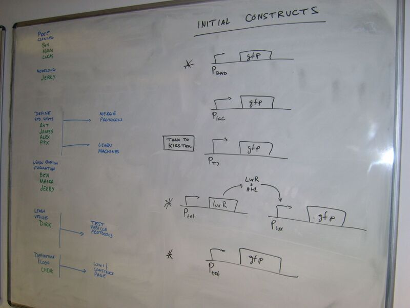 File:IC07 image020.jpg