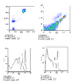 Thumbnail for version as of 16:58, 21 February 2006