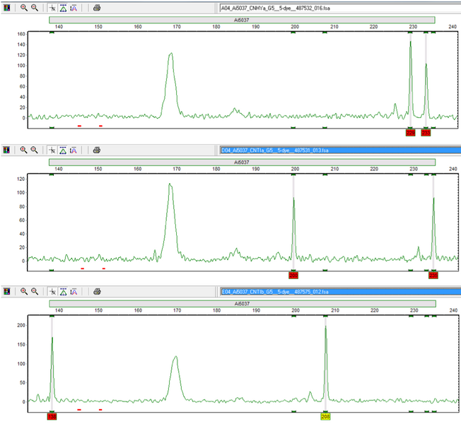 File:20120120 Ai5037.png