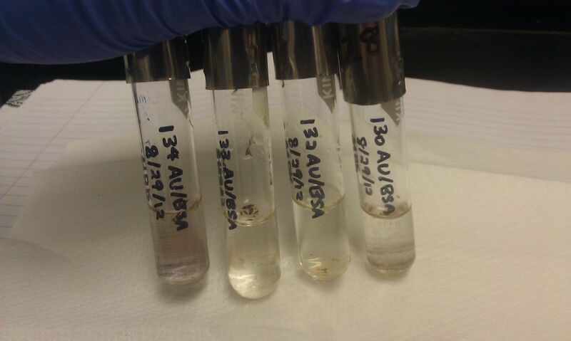 File:20120829 130134AuBSA.jpg