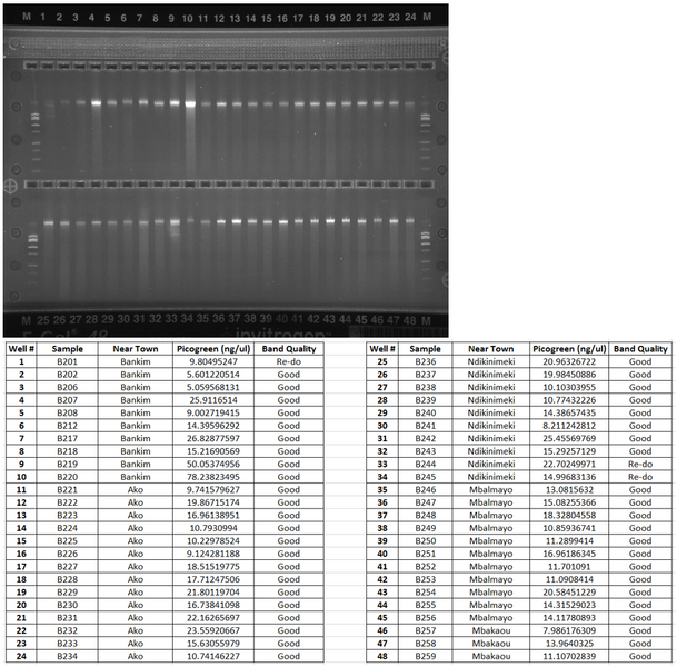 File:Butterfly all.PNG