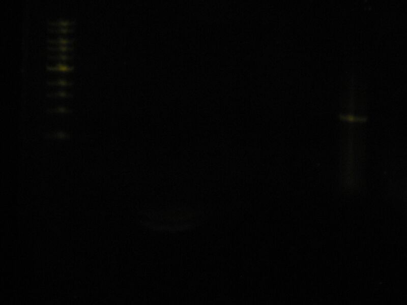 File:Capture 00031.JPG