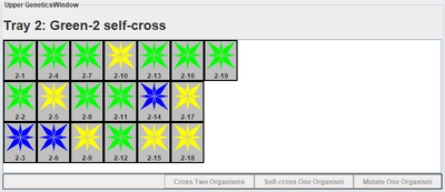 Green-2 self-cross