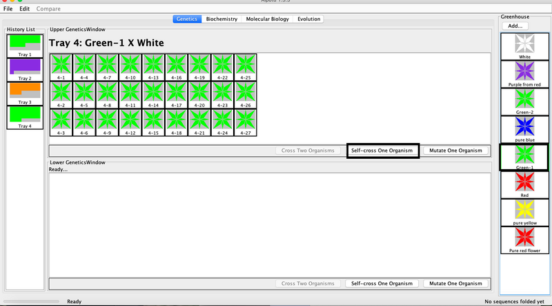 File:Green 1 self cross.png
