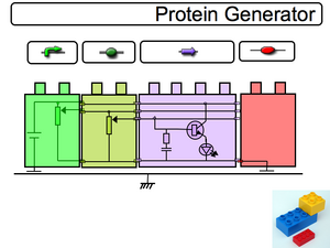 Constitutive Promoter Component