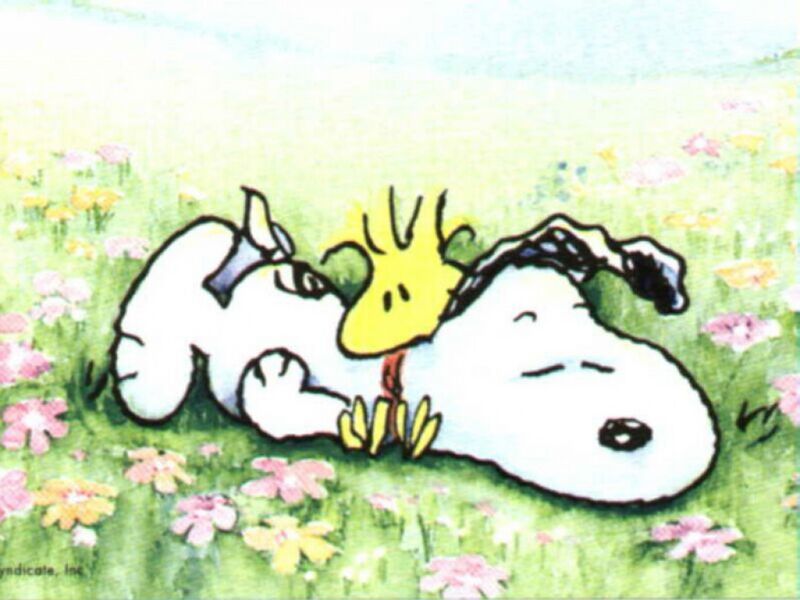 File:Snoopy.jpg