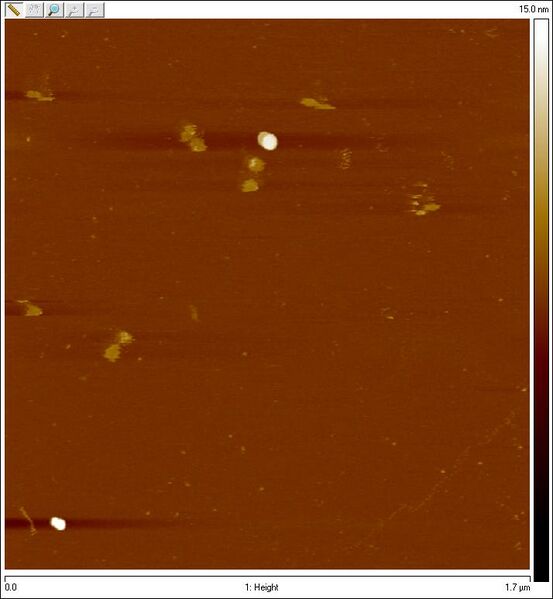 File:2011-08-10 spheregelpur8bp bottom2.jpg