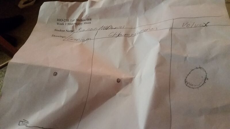 File:20160120 234944.jpg