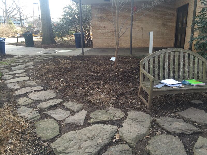 File:Bio 210 pic2.jpg