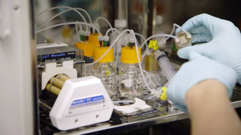File:Bioreactor-hands.jpg