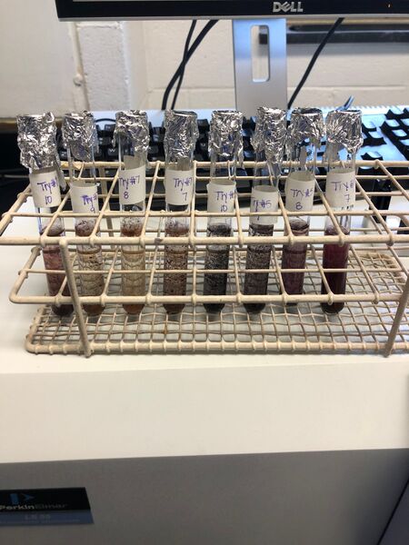 File:Day 7 Samples.jpeg