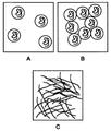 Thumbnail for version as of 04:53, 23 July 2009