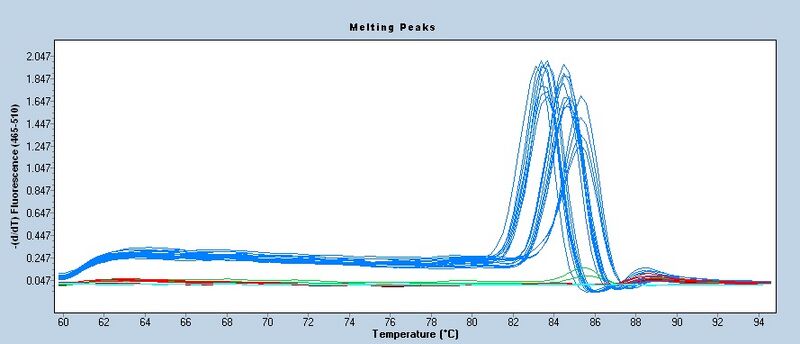 File:S13 M3D5 WF CNII-melt.jpg
