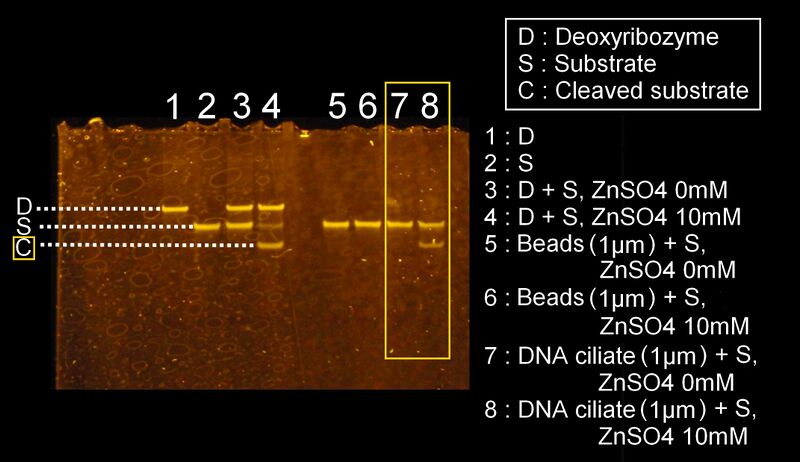 File:Tokyo 1μEDAC.jpg