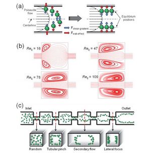 Figure 9. (a) intertial lift forces on a sphere in laminar flow (b) vorticies created by changing the channel dimensions (Re of channel) (c) inertial focusing in a multi-orificed channel [7]