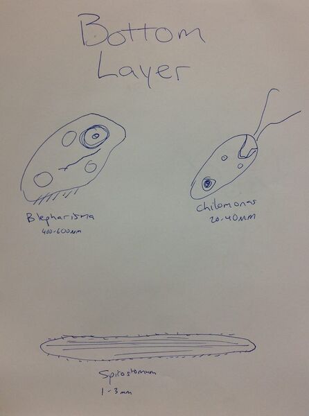 File:12625653 10153336064156146 1722567533 n.jpg