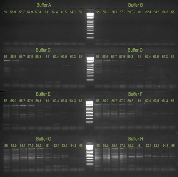 File:20130208 Gela.png