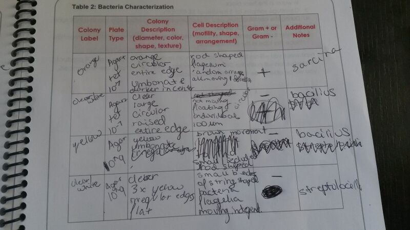 File:20150205 164115 (1).jpg