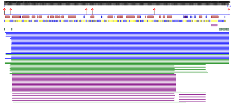 File:ACE2 PredictProtein.png