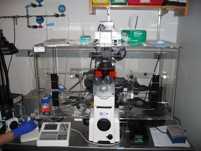 File:Endy NikonTE2000.jpg