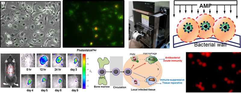 File:Kim lab home figure.png