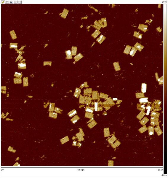 File:Original24x29 LargeCanvas 1 100.jpg