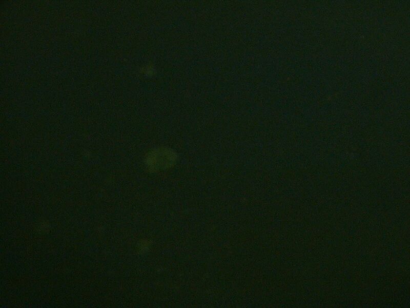 File:Pink control.jpg