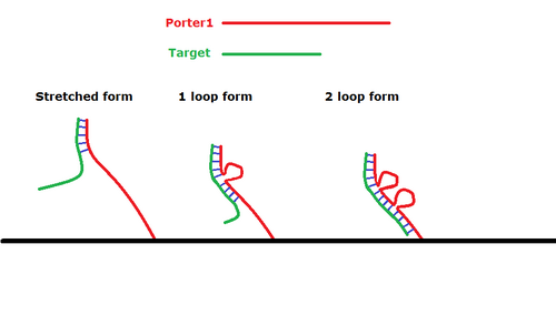 Three different form