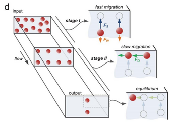 Figure 7. Rotation Induced Lift Force [5]