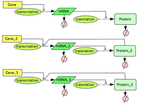 Activated Gene Expression