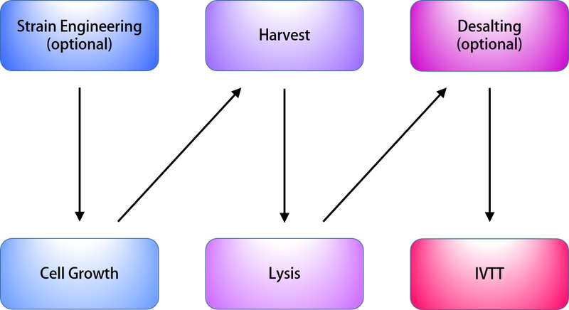 File:Construction of IVTT system.png