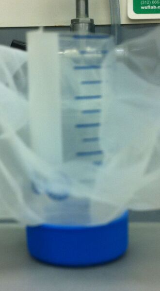 File:Embryo sieve.jpg