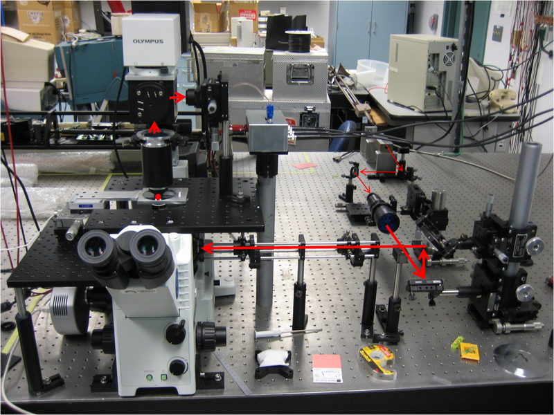 File:OTsetup 10 23 09.png