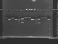 Thumbnail for version as of 16:14, 28 September 2012