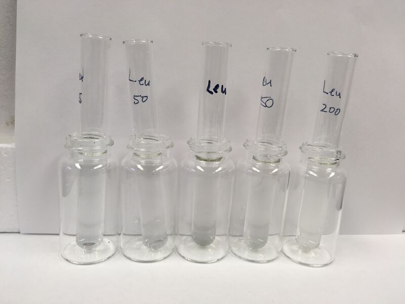 File:01112017 photo AuNP Leucine.jpg