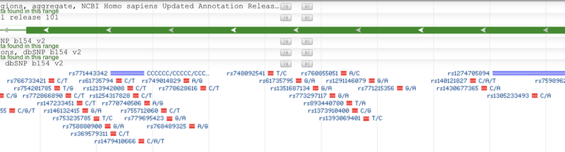 File:DaMota Exon11.png