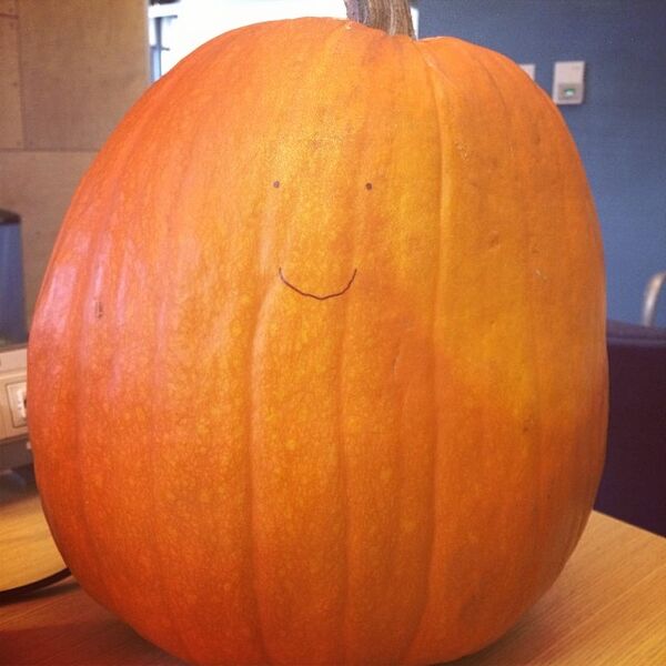 File:Derpmepumpkin.jpg