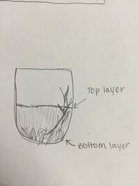 Sketch of Hay Infusion